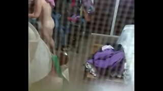 ���აშუშობის მოწიფული argenta