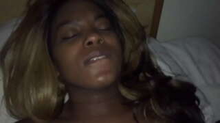 Bitch बिल्ली farted