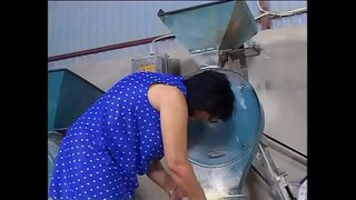 --ສີ້&amp;ແລະການເກີ-໐໙໕໙໐໓