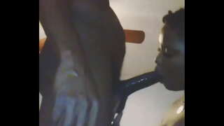 Nihil sicut canis qui diligunt sugere dick